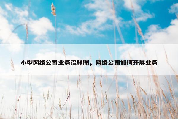 小型网络公司业务流程图，网络公司如何开展业务