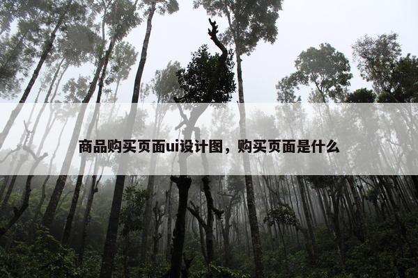 商品购买页面ui设计图，购买页面是什么