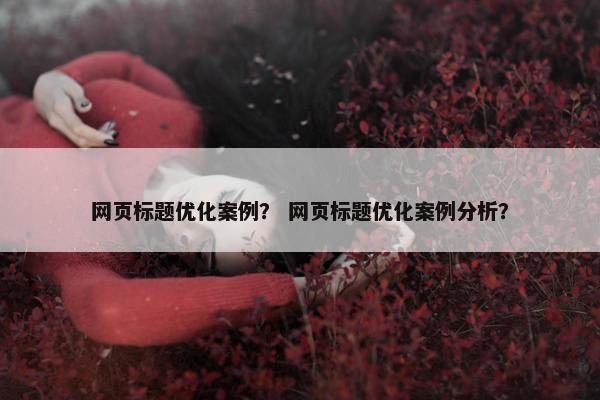网页标题优化案例？ 网页标题优化案例分析？