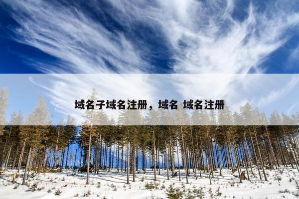 域名子域名注册，域名 域名注册