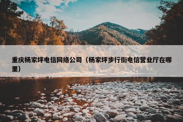 重庆杨家坪电信网络公司（杨家坪步行街电信营业厅在哪里）