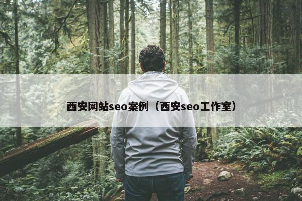 西安网站seo案例（西安seo工作室）