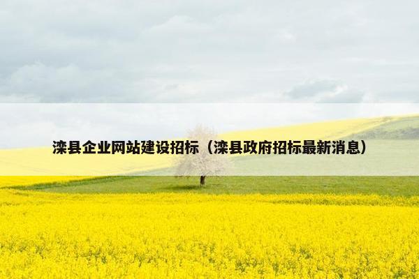 滦县企业网站建设招标（滦县政府招标最新消息）