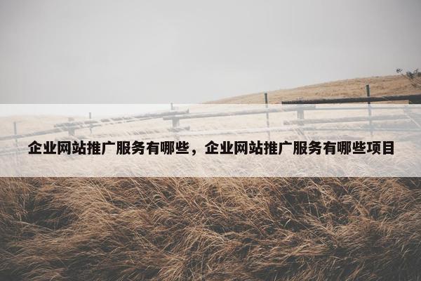 企业网站推广服务有哪些，企业网站推广服务有哪些项目