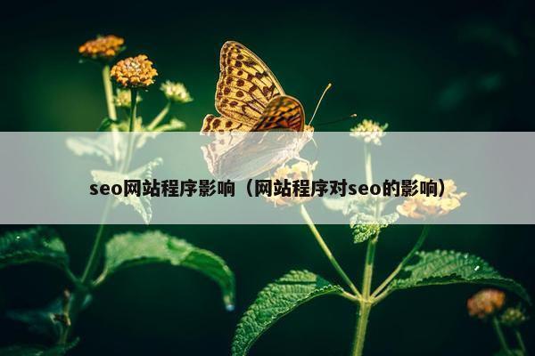 seo网站程序影响（网站程序对seo的影响）