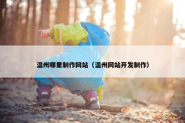 温州哪里制作网站（温州网站开发制作）