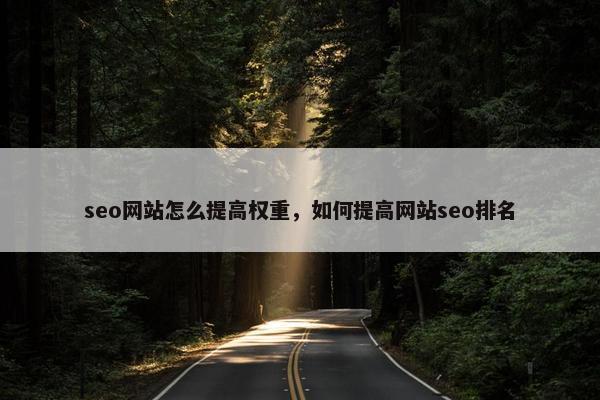 seo网站怎么提高权重，如何提高网站seo排名