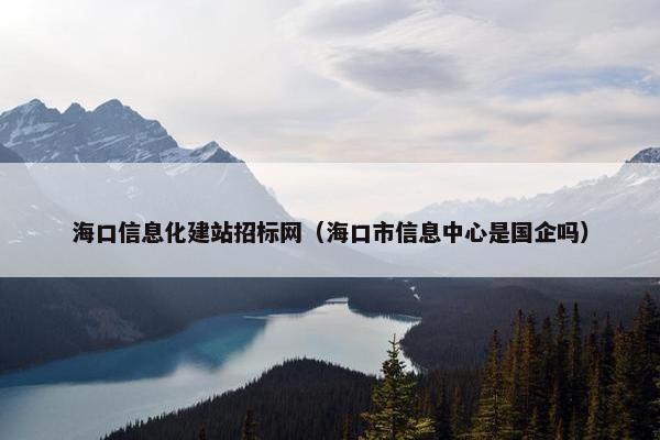 海口信息化建站招标网（海口市信息中心是国企吗）