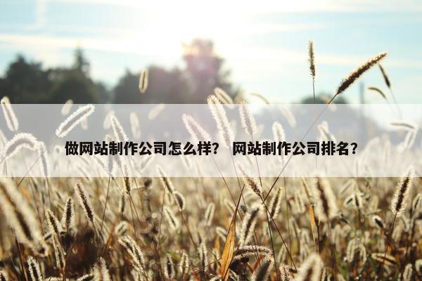 做网站制作公司怎么样？ 网站制作公司排名？