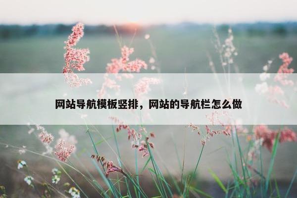 网站导航模板竖排，网站的导航栏怎么做