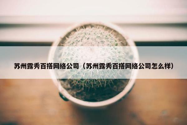 苏州露秀百搭网络公司（苏州露秀百搭网络公司怎么样）