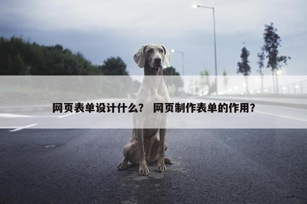 网页表单设计什么？ 网页制作表单的作用？