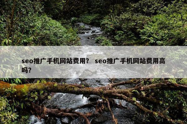 seo推广手机网站费用？ seo推广手机网站费用高吗？
