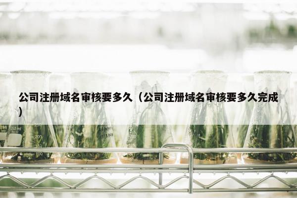 公司注册域名审核要多久（公司注册域名审核要多久完成）