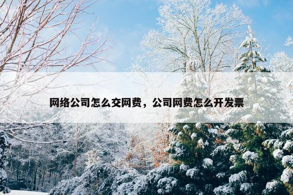 网络公司怎么交网费，公司网费怎么开发票