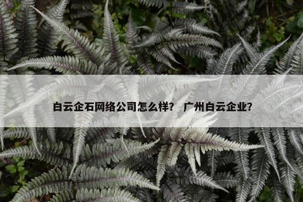 白云企石网络公司怎么样？ 广州白云企业？