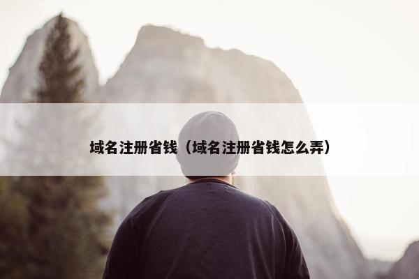 域名注册省钱（域名注册省钱怎么弄）