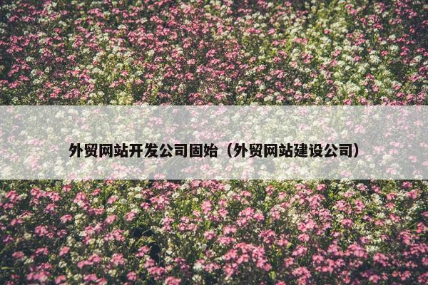 外贸网站开发公司固始（外贸网站建设公司）
