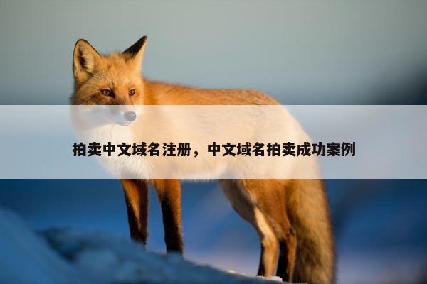 拍卖中文域名注册，中文域名拍卖成功案例