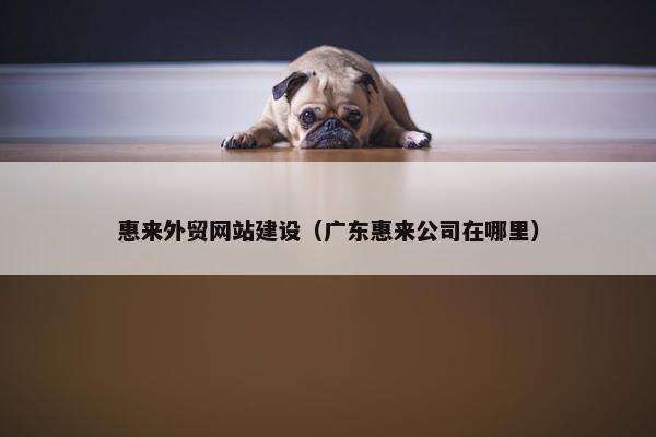 惠来外贸网站建设（广东惠来公司在哪里）