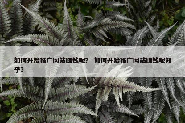 如何开始推广网站赚钱呢？ 如何开始推广网站赚钱呢知乎？