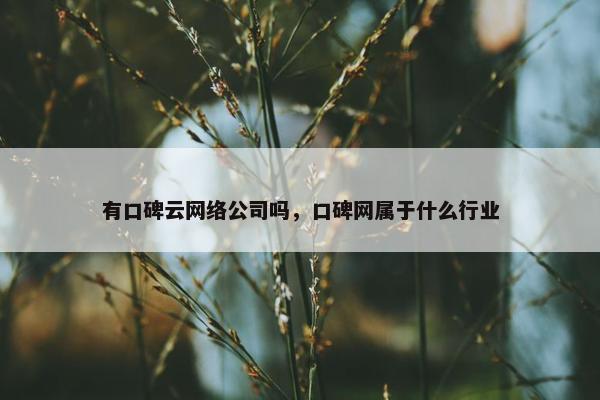 有口碑云网络公司吗，口碑网属于什么行业