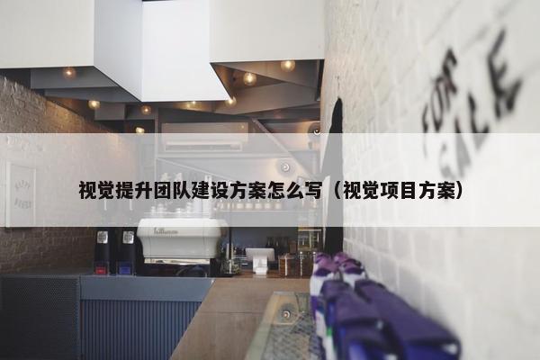 视觉提升团队建设方案怎么写（视觉项目方案）