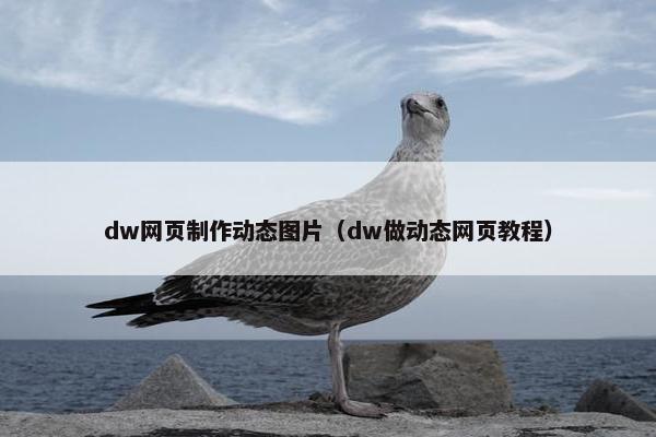 dw网页制作动态图片（dw做动态网页教程）