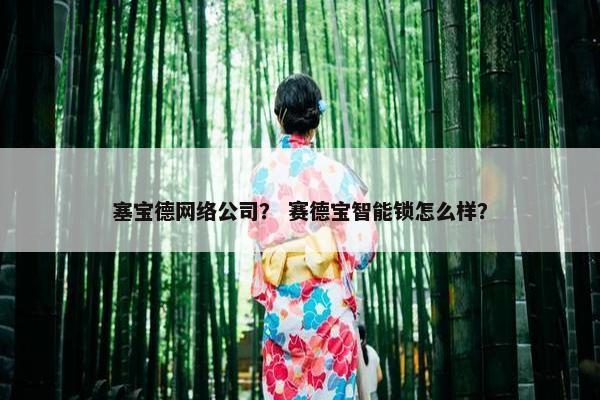 塞宝德网络公司？ 赛德宝智能锁怎么样？