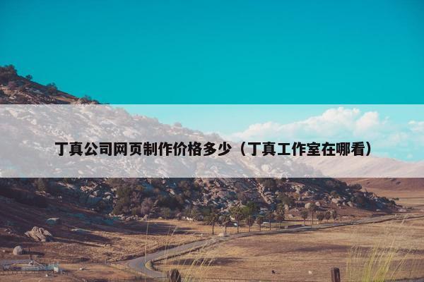 丁真公司网页制作价格多少（丁真工作室在哪看）