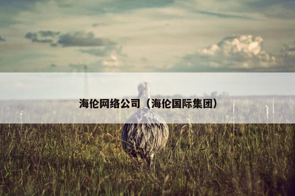 海伦网络公司（海伦国际集团）