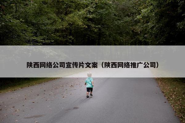 陕西网络公司宣传片文案（陕西网络推广公司）