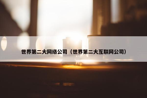 世界第二大网络公司（世界第二大互联网公司）