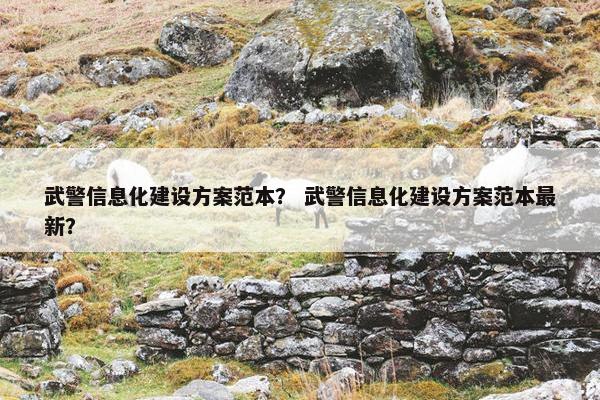 武警信息化建设方案范本？ 武警信息化建设方案范本最新？