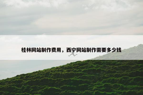 桂林网站制作费用，西宁网站制作需要多少钱