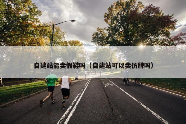 自建站能卖假鞋吗（自建站可以卖仿牌吗）