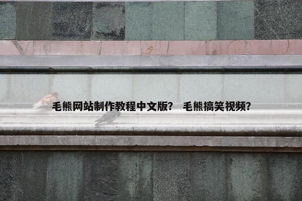 毛熊网站制作教程中文版？ 毛熊搞笑视频？