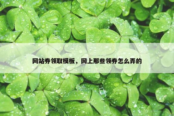 网站券领取模板，网上那些领券怎么弄的