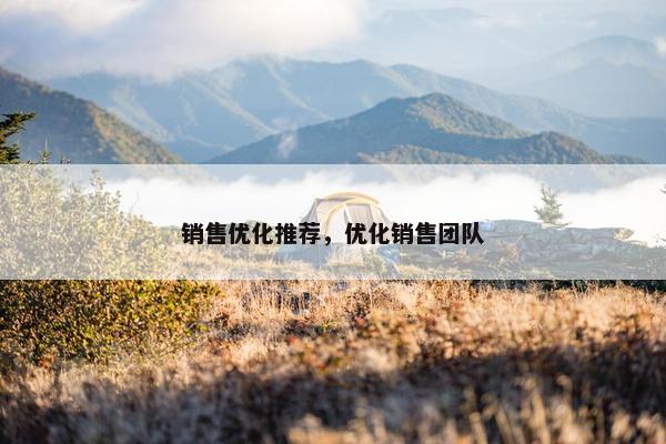 销售优化推荐，优化销售团队