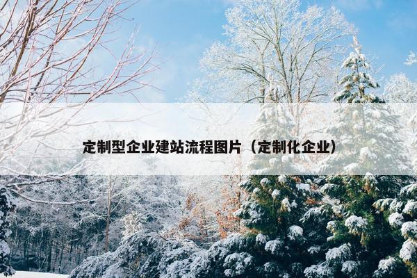 定制型企业建站流程图片（定制化企业）