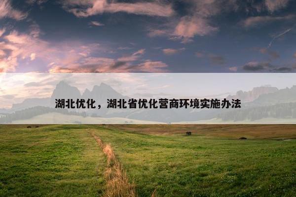 湖北优化，湖北省优化营商环境实施办法