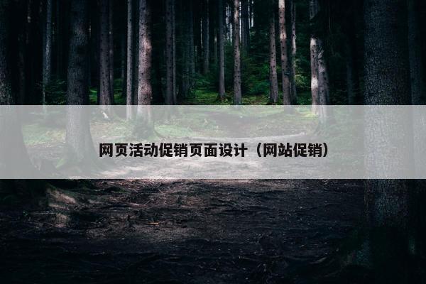 网页活动促销页面设计（网站促销）
