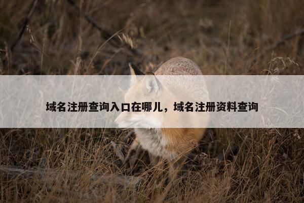 域名注册查询入口在哪儿，域名注册资料查询