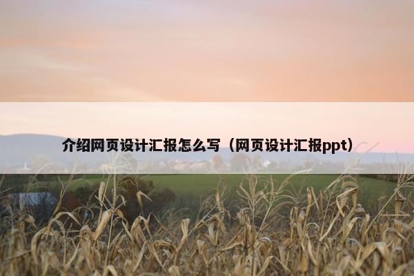 介绍网页设计汇报怎么写（网页设计汇报ppt）