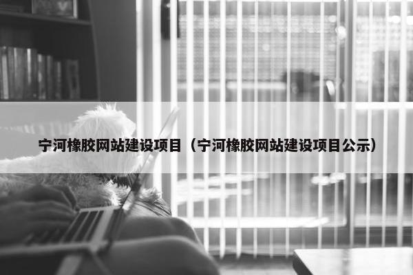 宁河橡胶网站建设项目（宁河橡胶网站建设项目公示）