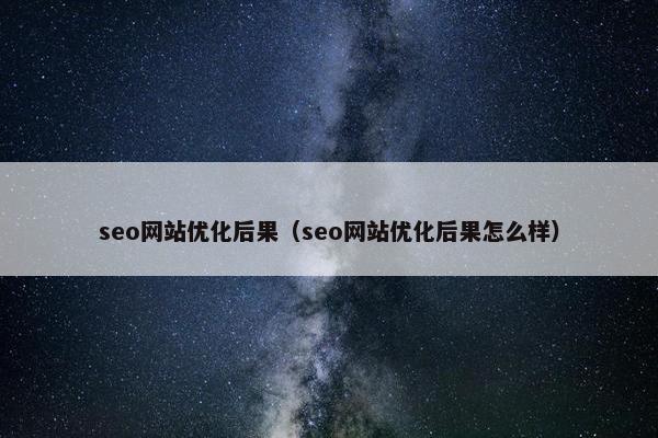 seo网站优化后果（seo网站优化后果怎么样）
