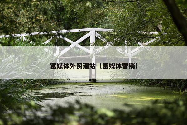 富媒体外贸建站（富媒体营销）