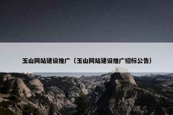 玉山网站建设推广（玉山网站建设推广招标公告）