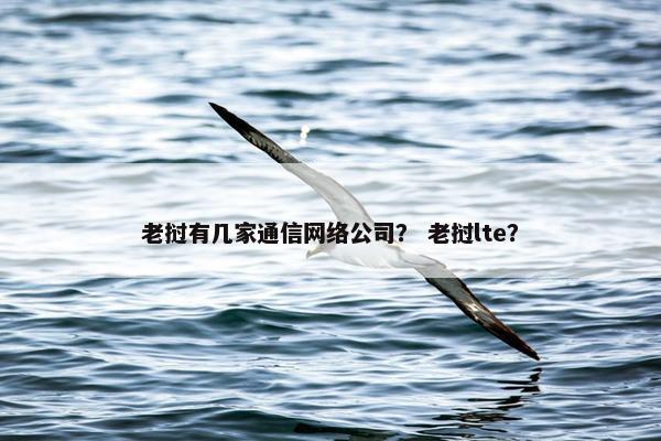 老挝有几家通信网络公司？ 老挝lte？