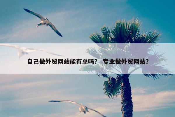自己做外贸网站能有单吗？ 专业做外贸网站？